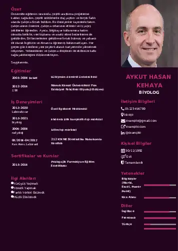 cv indir
